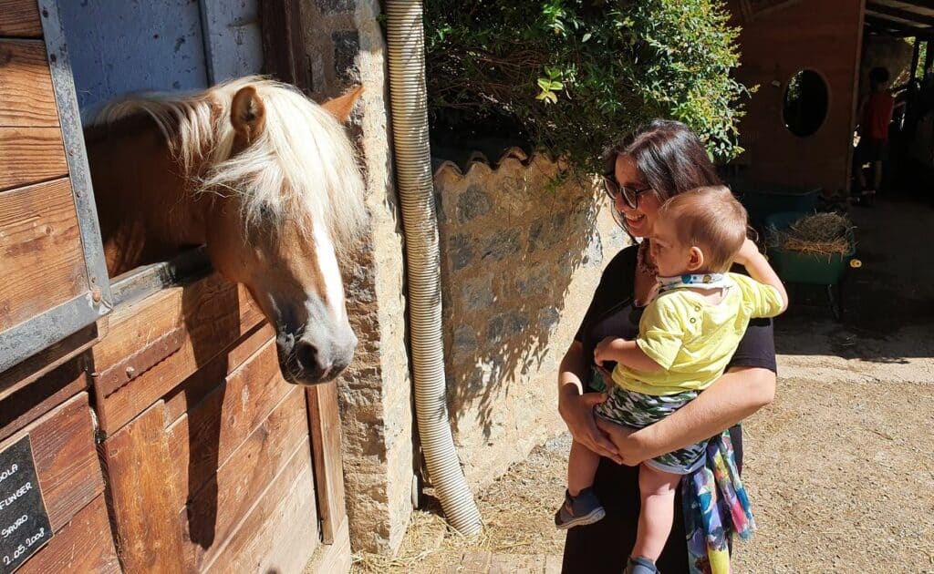 Autunno con bambini: dove andare e cosa fare tra zucche e foliage fattoria animali autunno bambini dove andare