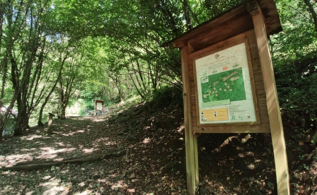 fossili dinosauri lombardia parco paleontologico cene