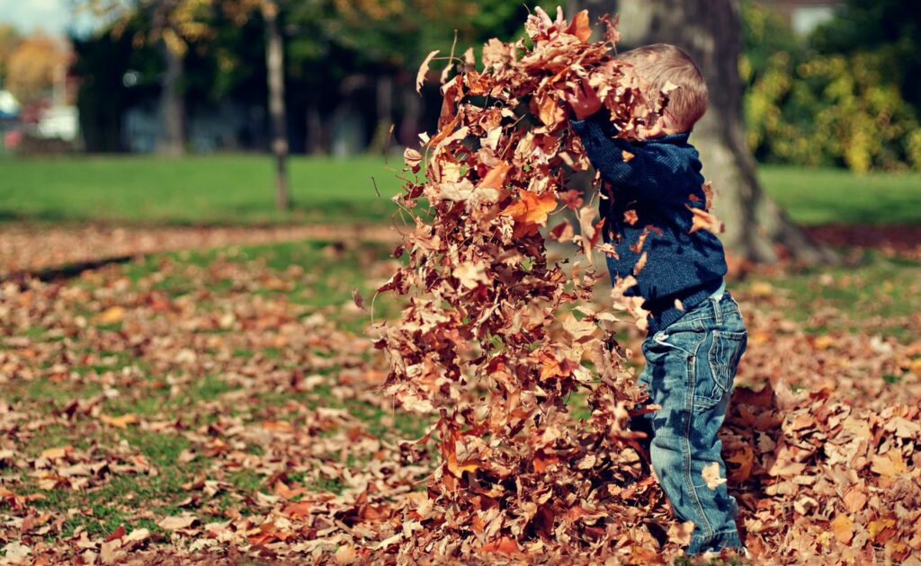 Autunno con bambini: dove andare e cosa fare tra zucche e foliage giocare raccogliere foglie autunno