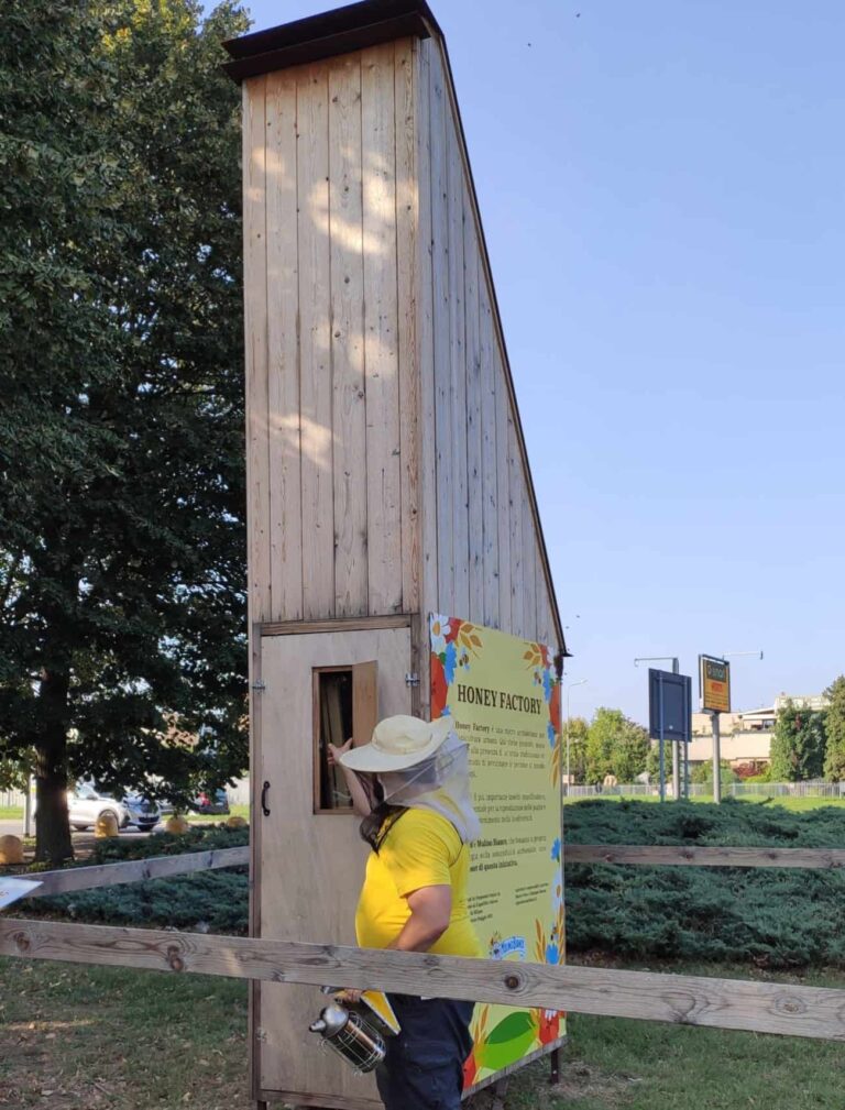 honey factory arnia didattica milano