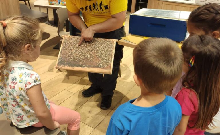 Autunno con bambini: dove andare e cosa fare tra zucche e foliage laboratorio didattico api autunno eventi