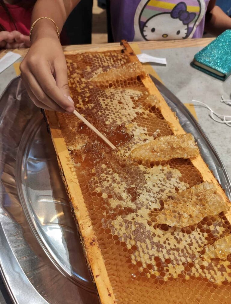 mangiare miele favo telaio