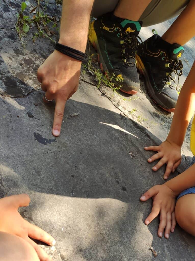 Fossili e dinosauri in Lombardia: visita al Parco Paleontologico di Cene parco paleontologico cene fossili