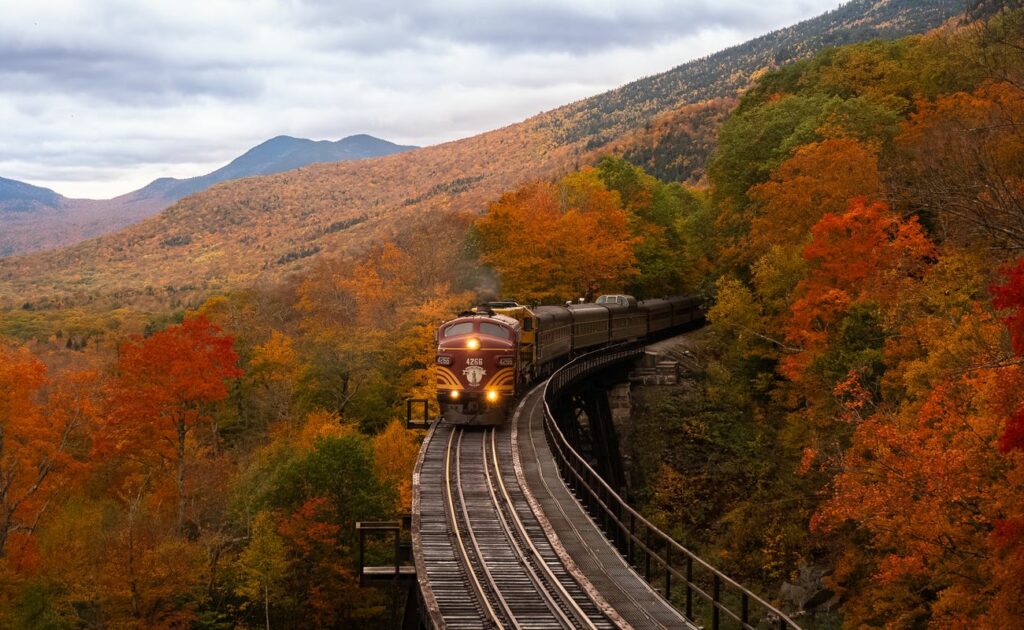 Autunno con bambini: dove andare e cosa fare tra zucche e foliage treno panoramico autunno