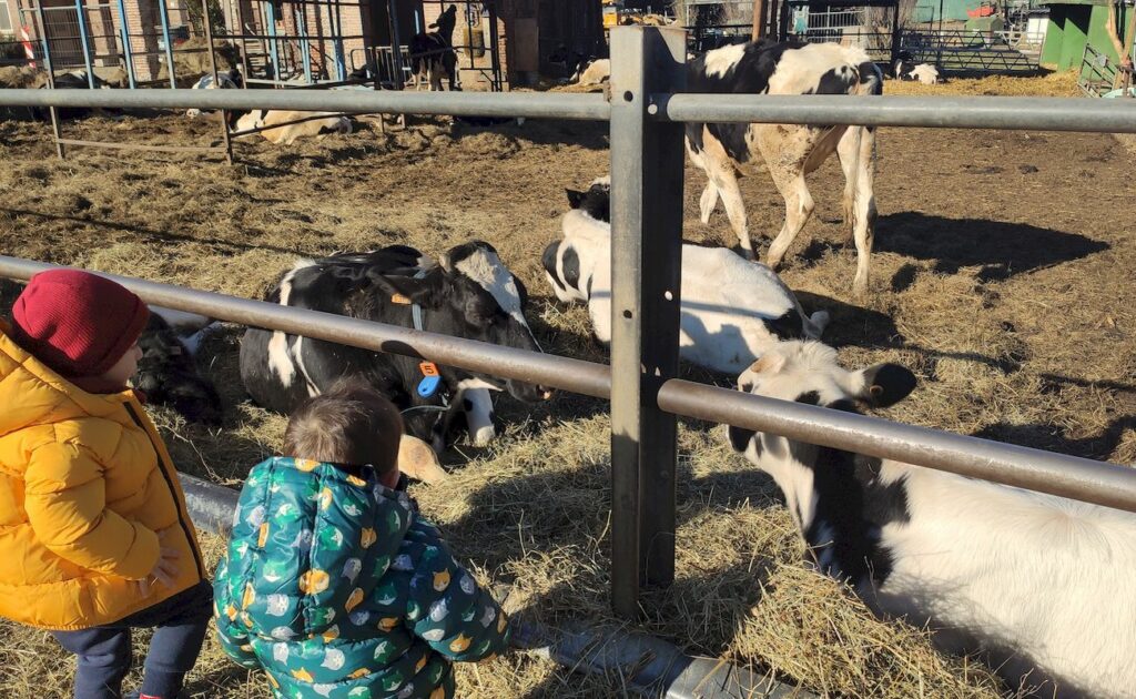 Cosa fare con i bambini al Parco di Monza: giochi, trenino e fattoria con animali