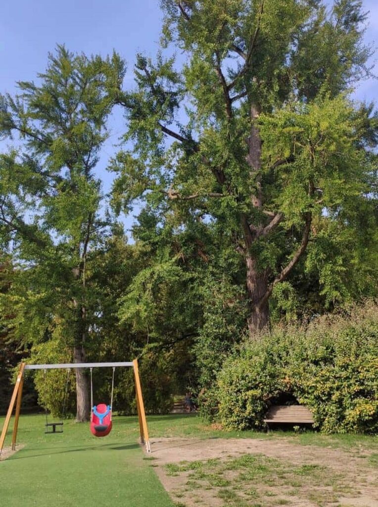 parco giochi massari ferrara bambini